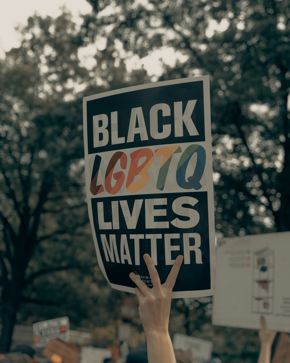 Black LGBTQ Lives Matter