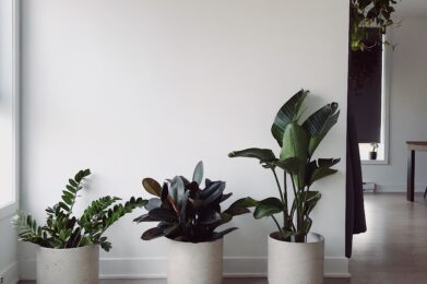 The Soft Life Isn’t Just a Trend-It’s Resistance